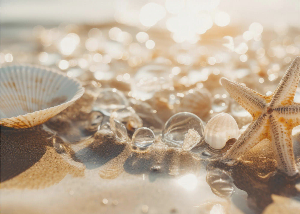 Sandy Treasures | Tapete