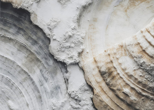 Strukturierte Echos | Poster