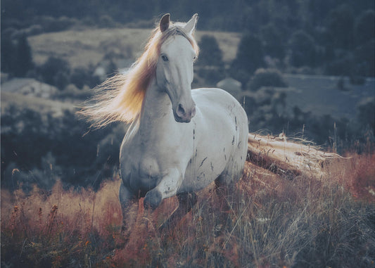 a short story about sunrise | Poster