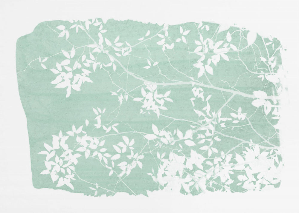 Mint Tree Foliage Silhouette | Poster