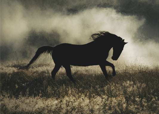 eine Kurzgeschichte über die Prunkwinde | Poster
