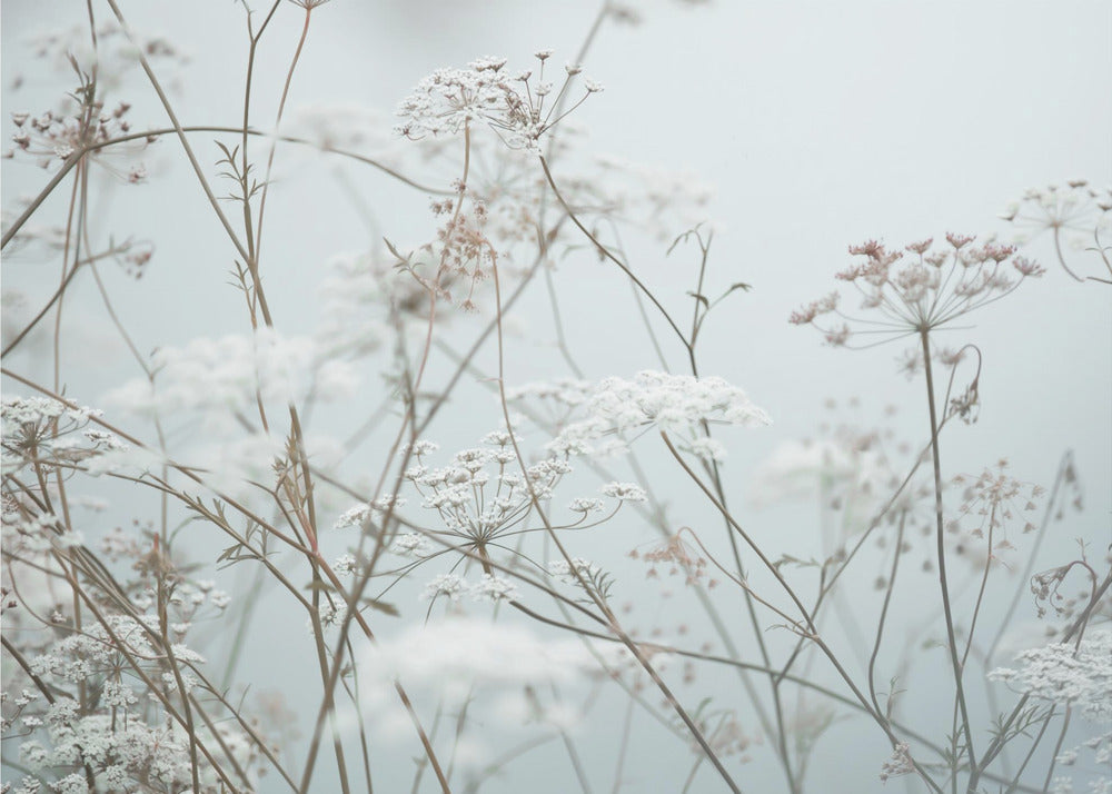 Sommermomente 12 | Tapete