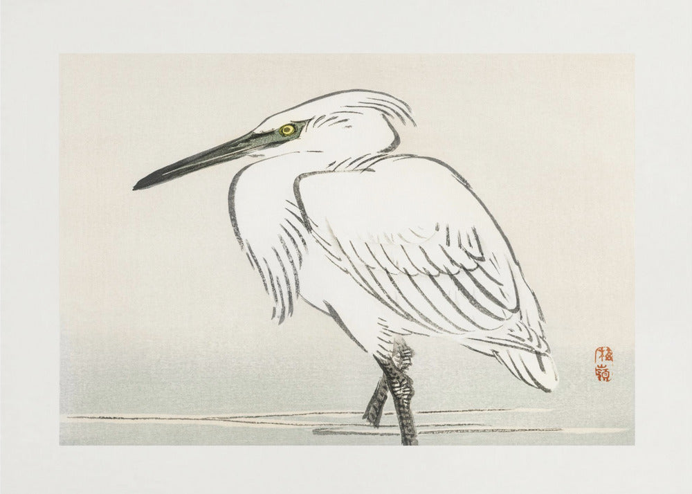 Snowy Egret | Canvas