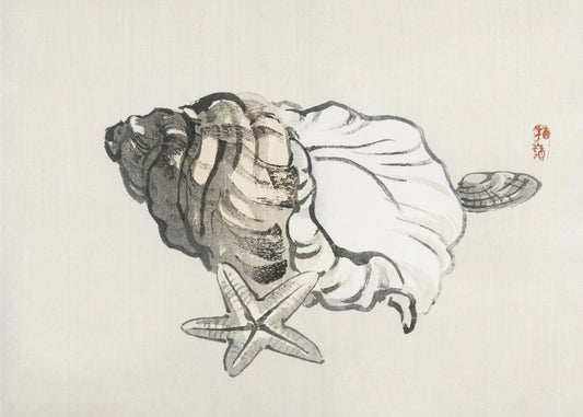 Seestern und Muschel | Leinwand