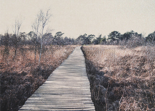 Naturschutzgebiet | Tapete