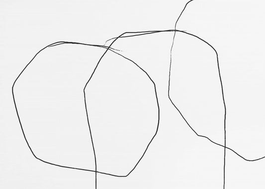 Schwarze Linien auf weißem Hintergrund | Poster