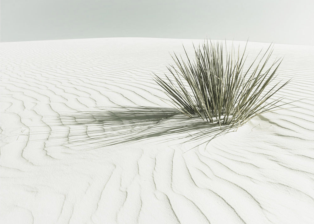 WHITE SANDS Vintage Dune | Leinwand