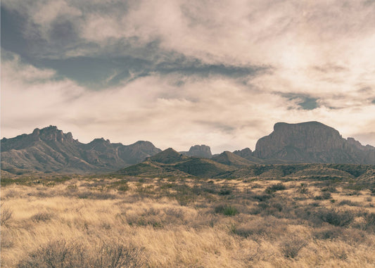 Isolation (1 of 1) | Canvas