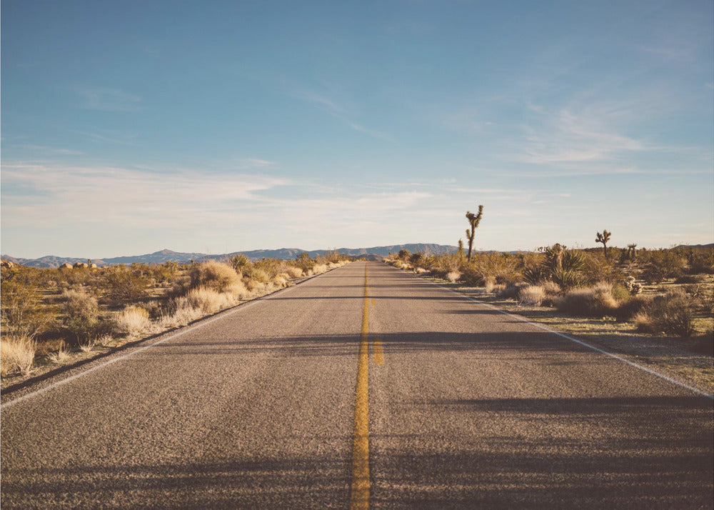 Joshua Tree Road | Leinwand