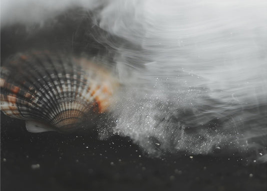 Flüsternde Muschel | Poster