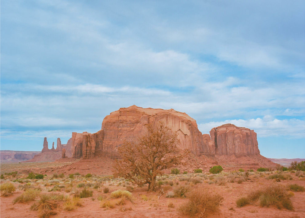 Monument Valley IX | Leinwand