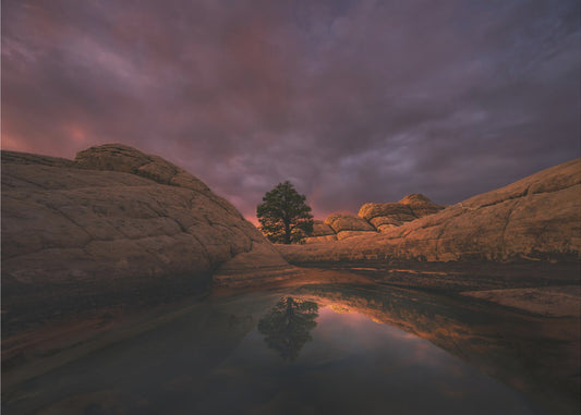 Morgenlicht | Leinwand