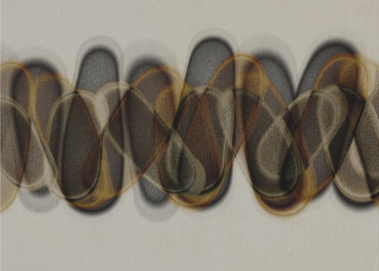 Echos in Bewegung | Poster