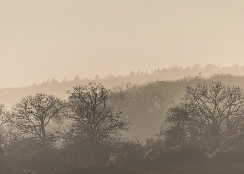 Fading Horizons 7 | Poster