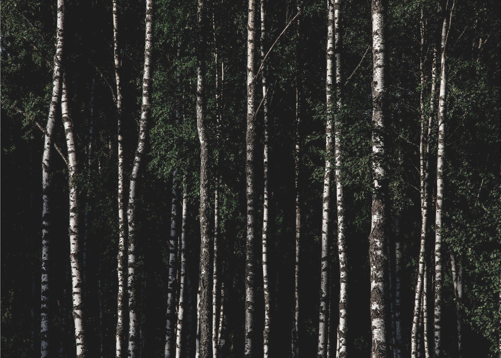 Irgendwo in Schweden 4 | Poster