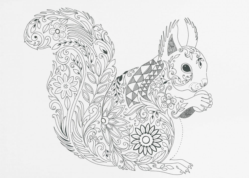Verziertes Eichhörnchen-Design | Poster