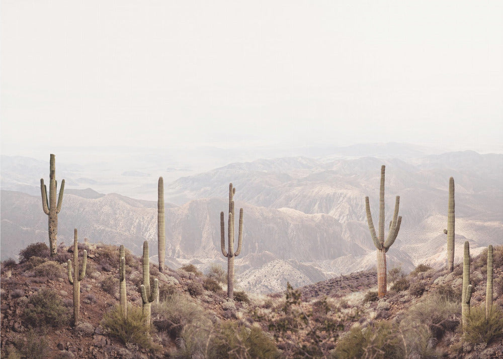 Arizona Valley | Leinwand
