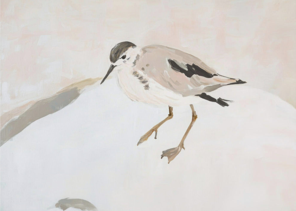 Süßer Watvogel | Leinwand