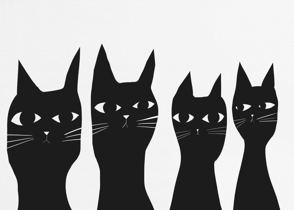 Vier schwarze Katzen | Poster