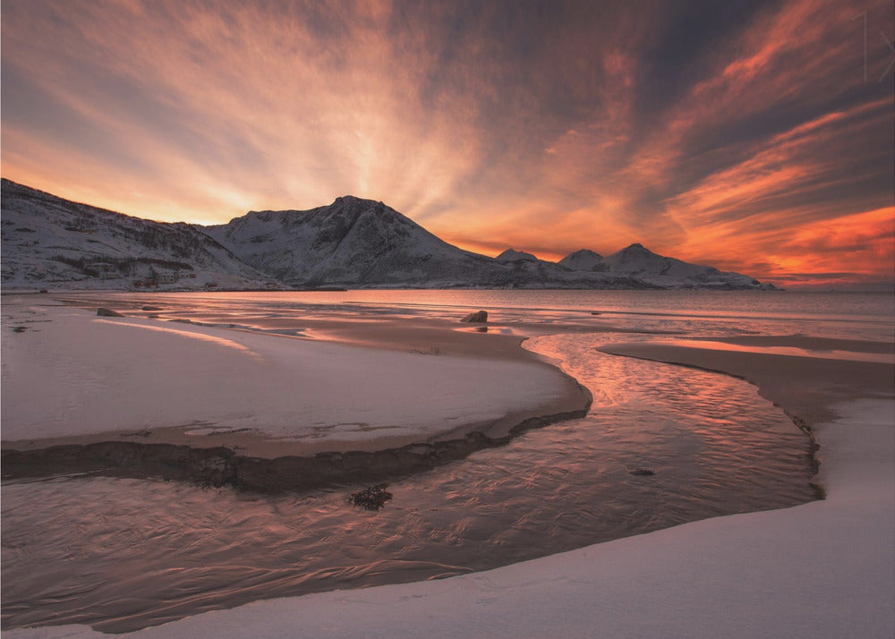 Goldener Sonnenuntergang | Tapete