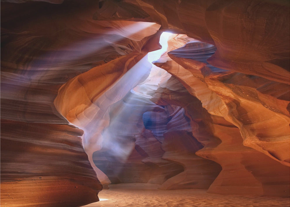 Pure Photodelight 2 | Hintergrundbild
