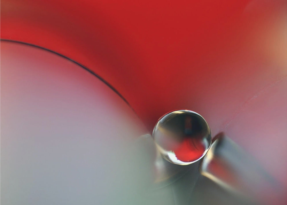Zwischen | Leinwand