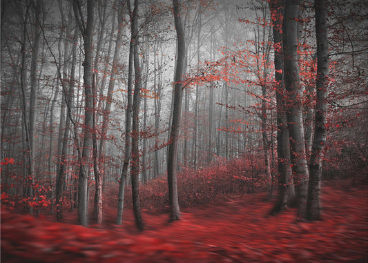 Blutiger Fluss | Leinwand