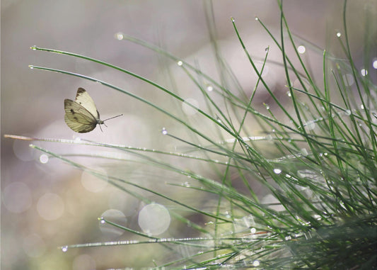 Imminent Landing | Poster