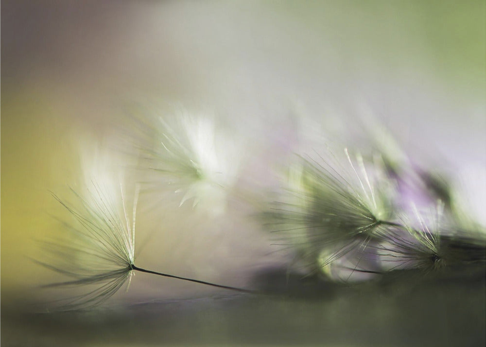 Am Morgen | Leinwand