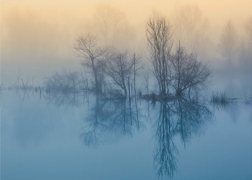 Morgenreflexion | Leinwand