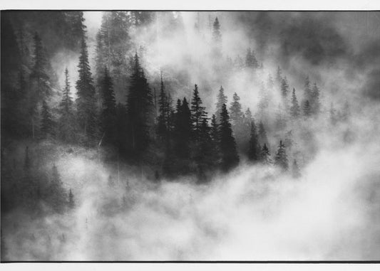 Agharta III | Leinwand