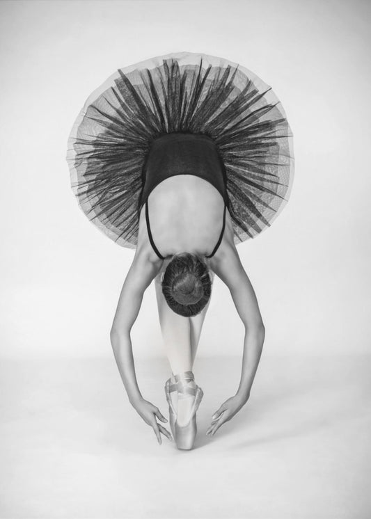 Balletttechnik | Leinwand