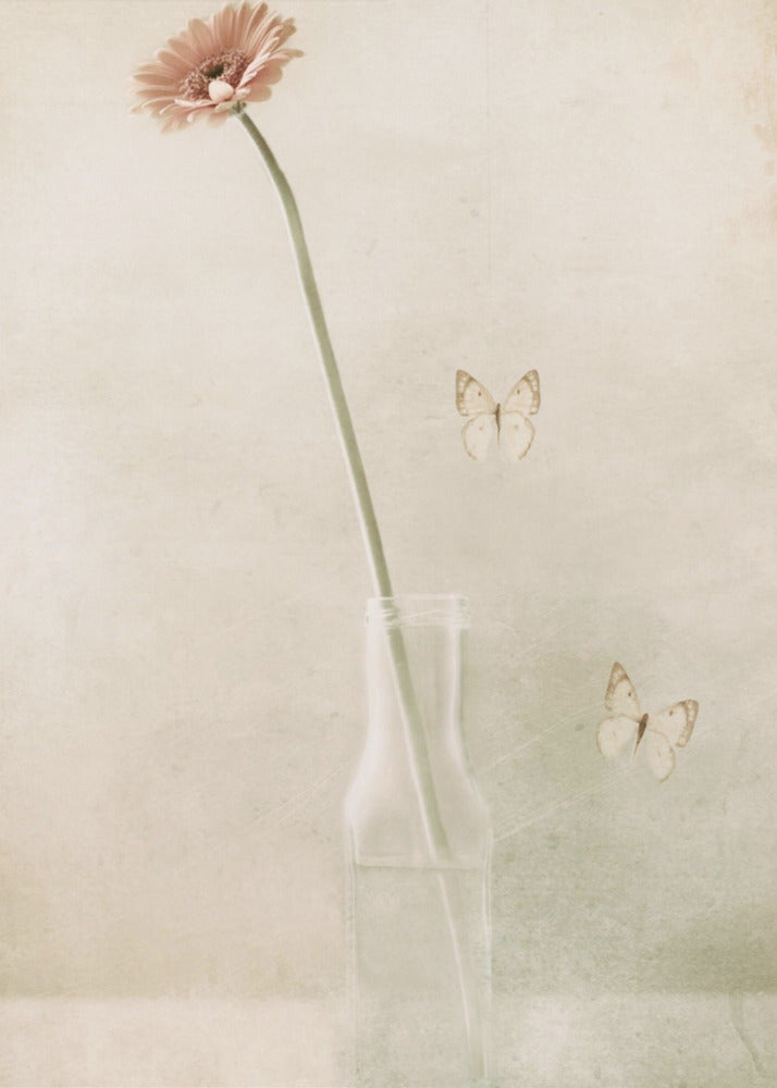 Miss Daisy | Leinwand
