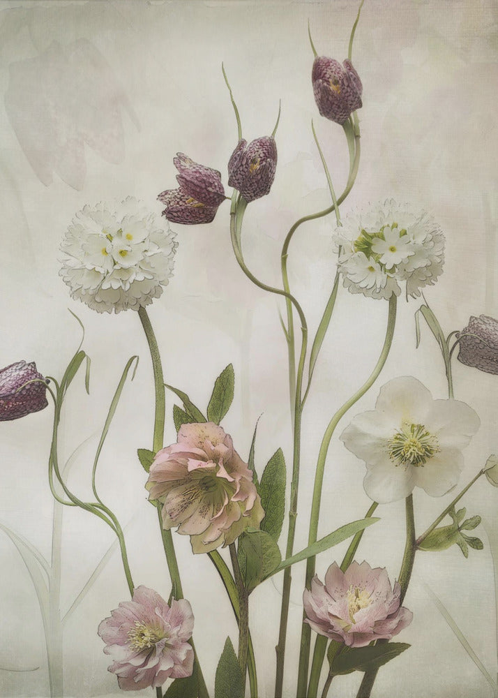 Frühlingsgarten | Poster