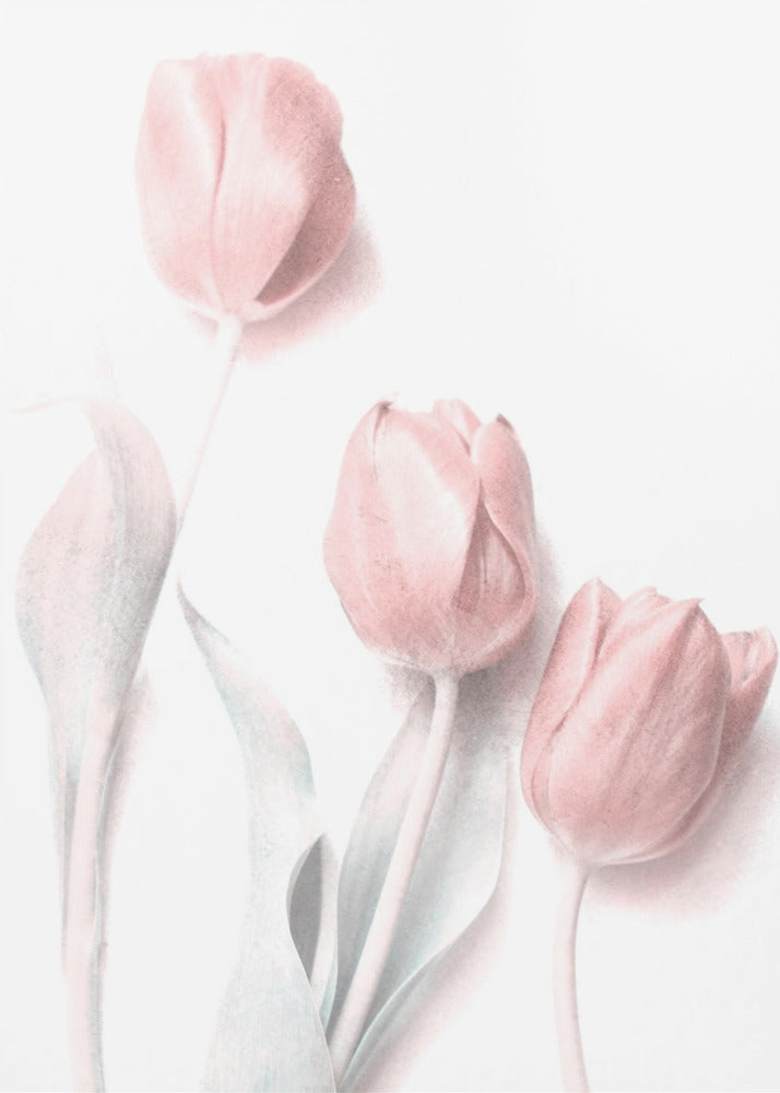 Sweet Pink | Canvas