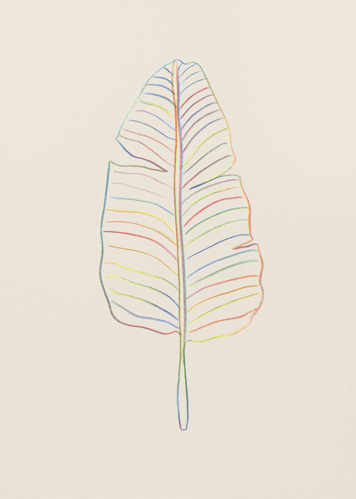 Bananen-Regenbogenblatt | Poster