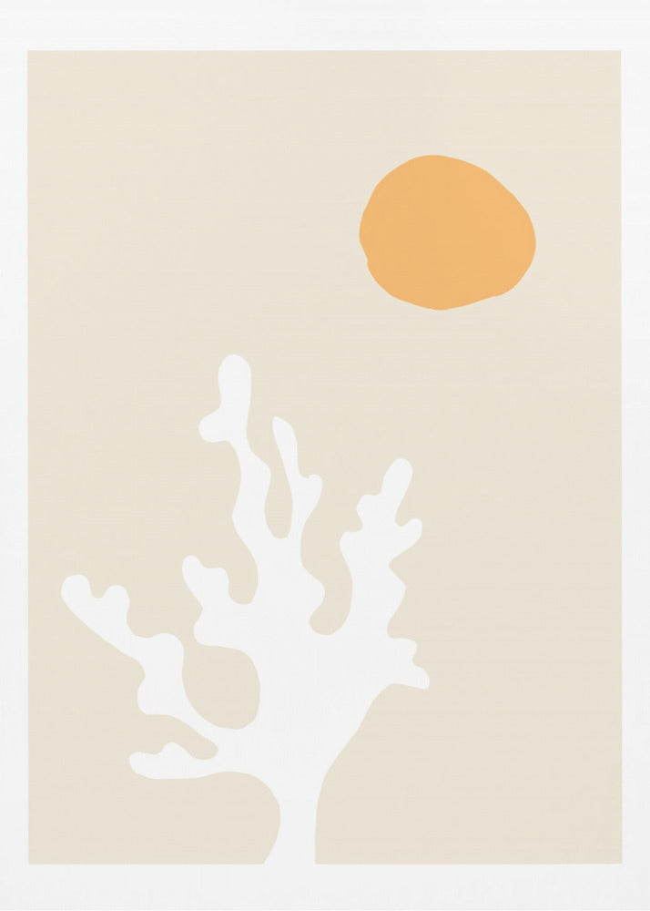 Seetang in der Sonne | Leinwand
