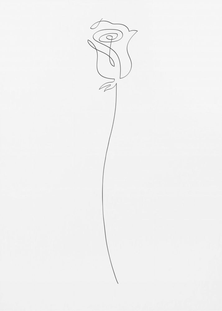 Rose | Leinwand