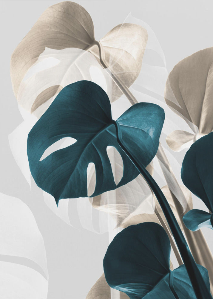 Monstera Creative 10 | Leinwand