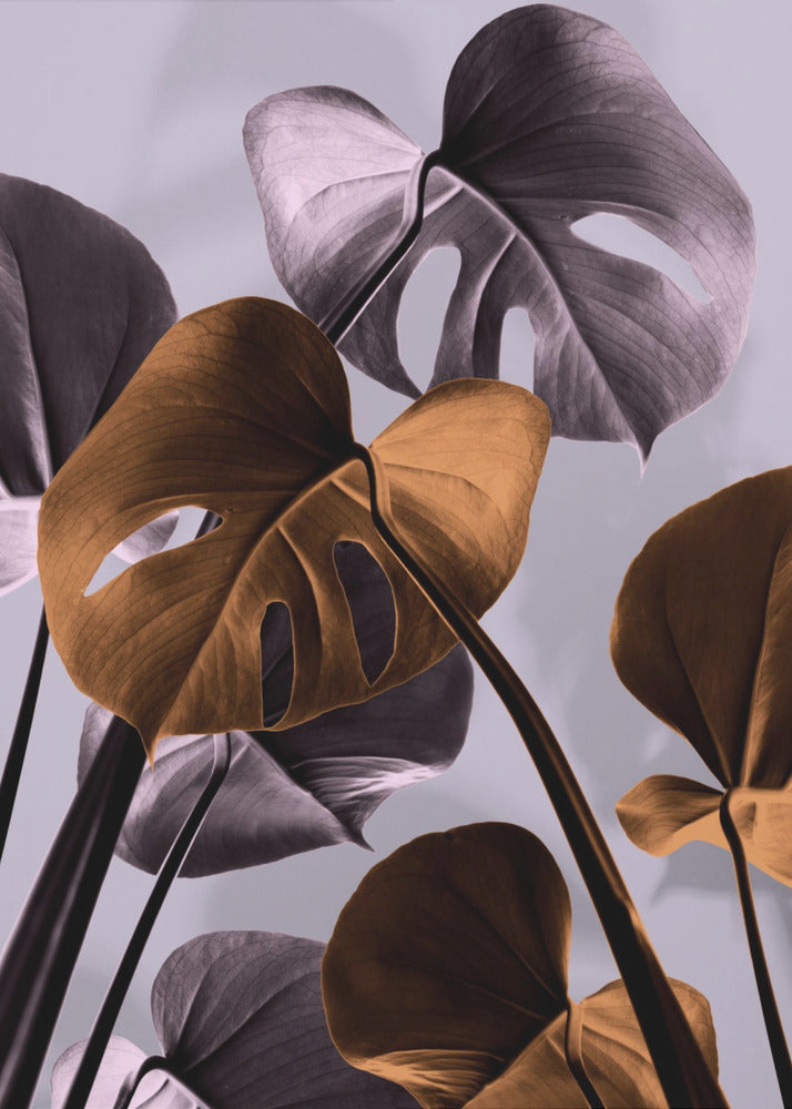 Monstera Lila 01 | Poster