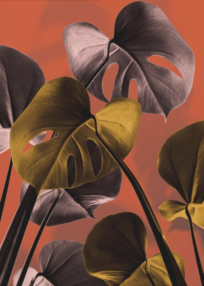 Monstera Orange 01 | Leinwand