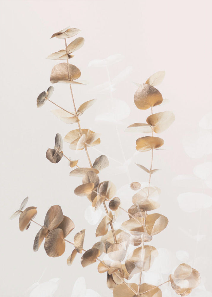 Eucalyptus Creative Gold 03 | Canvas
