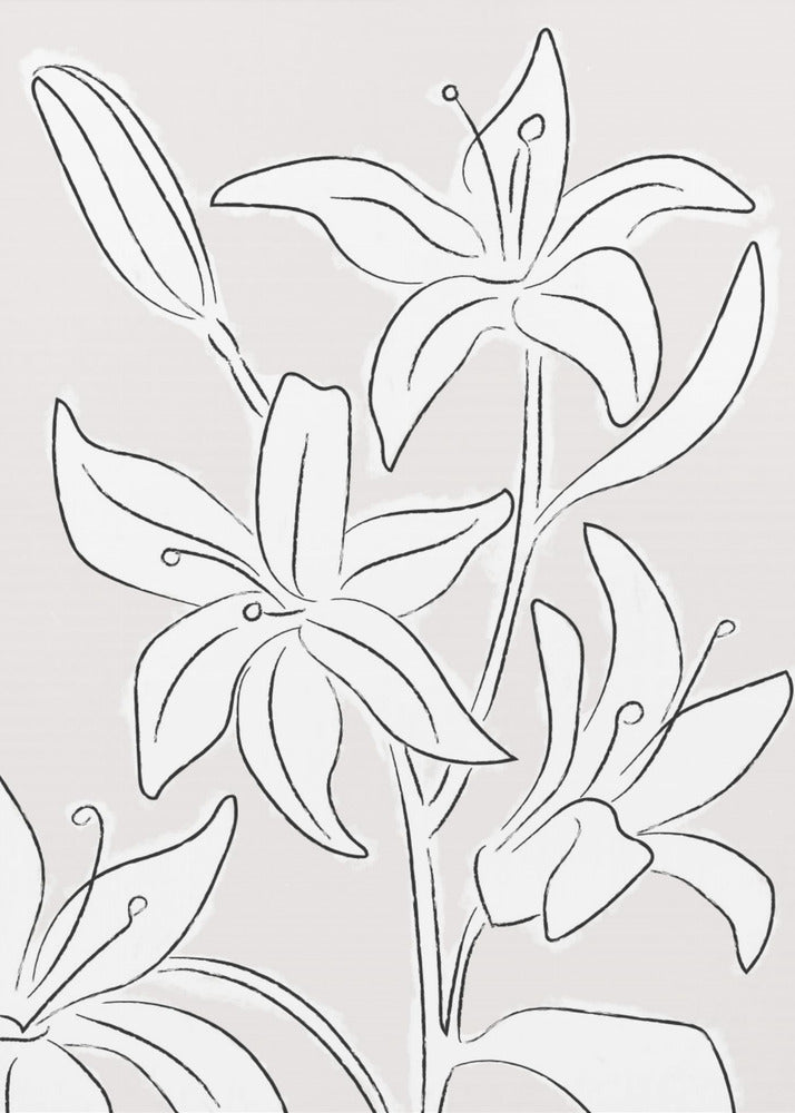 Lilien Nr. 03 | Poster