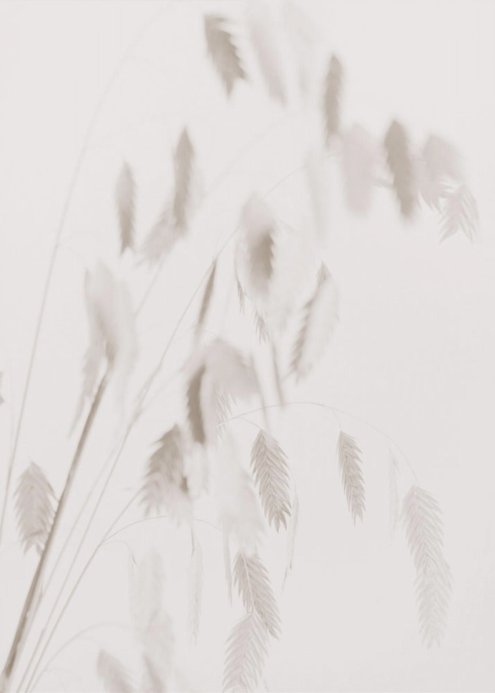 Getrocknetes Gras_rosa | Leinwand