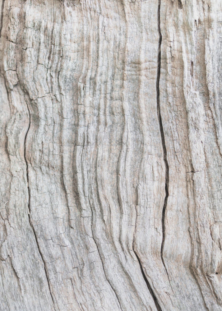 Holzmuster | Leinwand