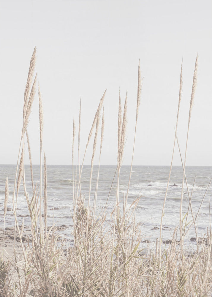 Strand_Vass_001 | Leinwand