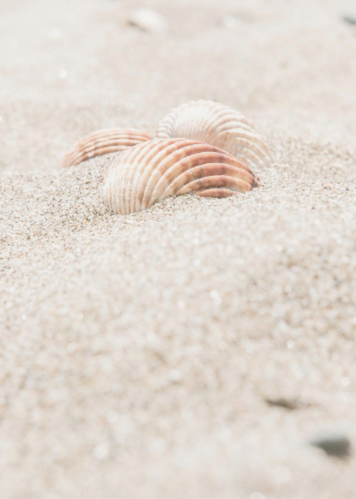 Strand_014 | Poster