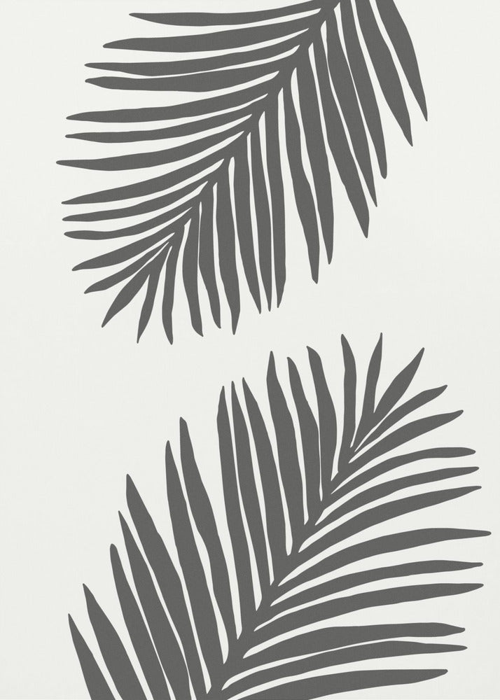 PALM LEAF 12 GRAPHITGRAU | Leinwand