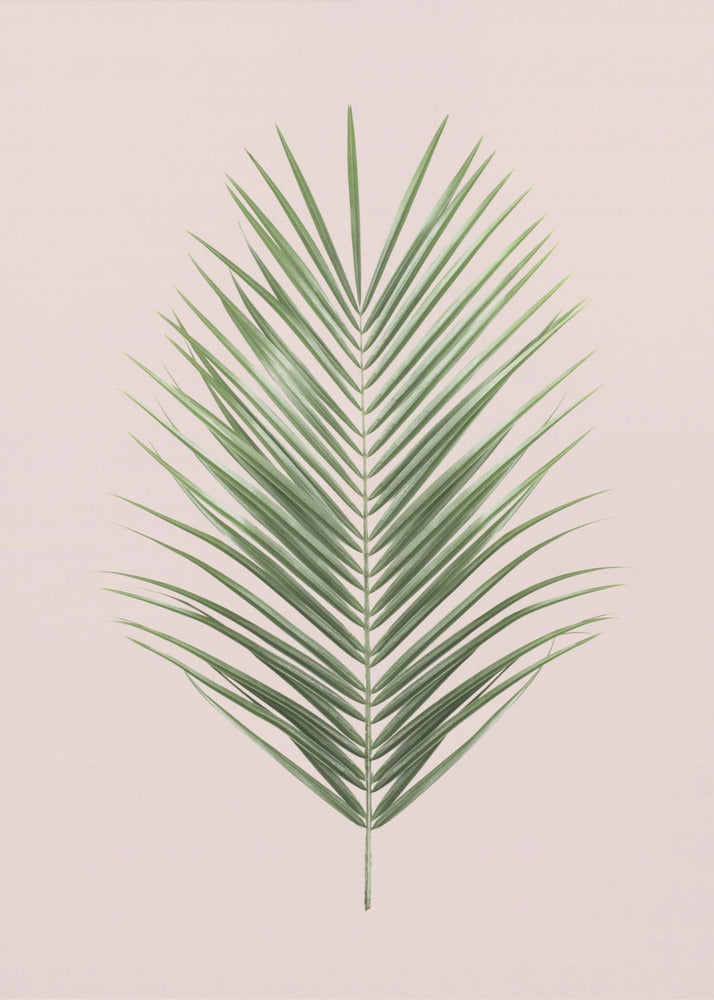 Palmblatt-Rouge | Leinwand