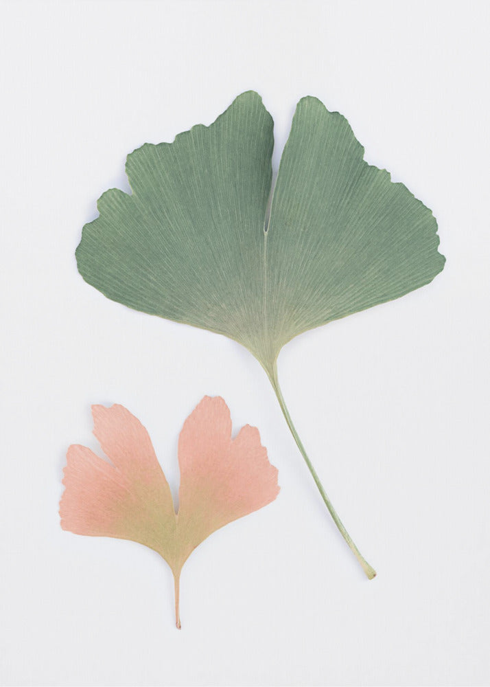Pastell Ginkgo | Leinwand